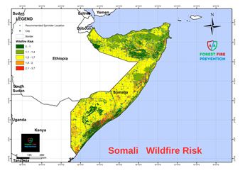 Somali Risk